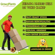 Pot Gantung Pumba 20 Pot Bunga Murah Pot Bunga Plastik Pot Bunga