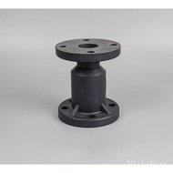 Cast Steel Stainless Steel Flange Swing Check Valve H44H/W-16C/P DN50 100 150