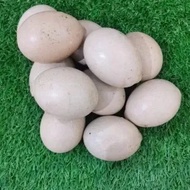 K Harvest - Century Chicken Eggs (One Pcs)