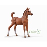 CollectA Horse Model 88992 Chestnut Arabian Foal Figure Toy