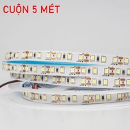 Cuộn 5 10 mét dây LED 12V bản rộng 5mm Công Suất 10w 1 mét Loại 120 hạt LED