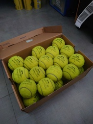 豹仔舊網球 30 nos. (個) Used Slazenger Tennis Balls