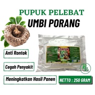 Pupuk Buat Porang, Booster Pemicu Tanaman Porang