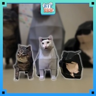 Animal paper model [Small Size] COMBO of 3 meme cats (Huh, Oiiaio, Maxwell)