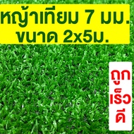 หญ้าเทียม เกรดA สูง 7มม. ขนาด 2x5ม. กันUV หญ้าเทียมราคาถูก หญ้าปลอม หญ้าปูสนาม คุณภาพดี สีไม่ซีด มีรูระบายน้ำ ปูพื้น ปูผนัง แต่งสวน จัดส่งไว