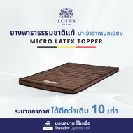 LOTUS ที่นอนยางพารานุ่มแน่น รุ่น Sienna ความหนา 3 นิ้ว Latex Made in Belgium ส่งฟรี