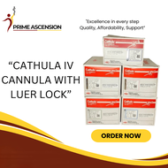CATHULA IV CANNULA WITH LUER LOCK (SOLD PER BOX)