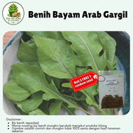 (100pcs) Biji benih BAYAM ARAB GARGIL rocket arugula salad seeds