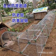 Walking on the Ground Scattering Farm Farm Chicken-raising Household Tunnel Courtyard Track Chicken 