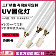 Lampu Pengawetan Gam UV Lampu UV Cahaya UV Lampu Pengawetan Gam Tanpa Bayangan Lampu Merkuri UV Lamp