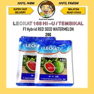 20G LECKAT 168 TEMBIKAI / F1 HYBRID WATERMELON LECKAT PREMIUM F1 HYBRID SEED GWG BIJI BENIH