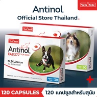 (Official Store) แอนทินอล Antinol EAB 277 120 แคปซูล