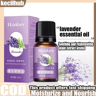 Massage essential oil, mugwort oil, full body massage oil, massage back and body