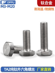 TA2 Titanium Hex Screw Pure Titanium Hexagon Bolt Screw M3m4m5m6m8m10m12m14m16m20