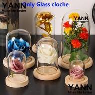 YANN1 Glass cloche Home Decor Fairy Lights Glass Vase Terrarium Jar Flower Storage box