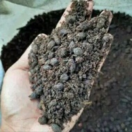 1kg Baja Organik Tahi Kambing / Goat Dung