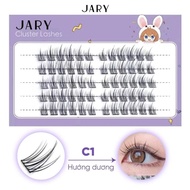 Jary Cluster Lasher Natural Cluster Eyelashes - Plastic Box of 5 Rows