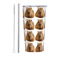 Capybara Dozing 20 Oz Tumbler Kawaii Animal Vacuum Insulated Thermal Cup with Lid and Straw Stainles