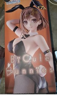 Bicute 兔女 bunniesFURYU 萊莎 萊莎的鍊金工房3 BiCute

Bunnies 萊莎琳