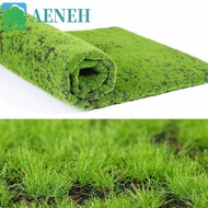 AENEH Fake Moss Grass Turf, DIY Durable Artificial Moss Carpet, Photography Props 50*50cm Lifelike N