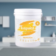 IONPAINT Maxitex Plus 6 In 1 Water Based Interior Wall Finish