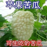 Apple Bitter Gourd Seeds Sweet Fruit Bitter Gourd Seeds Taiwan Apple Bitter Gourd Seeds Vegetable Se