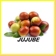 ✁ ∏ ☏ jujube chinese dates mansanitas fruit tree seeds