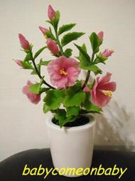 愛麗絲 手作坊 麵包花 小盆栽 朱槿 黏土 手作 擺飾 高度約16cm 花器口徑約5.5cm