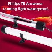 *Ready Stock * Philips T8-Arowana tanning light waterproof.