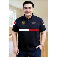 T-shirts JUMBO collared t-shirts 4XL, 5XL