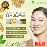 Face Whitening Cream Acne Medicines And Acne Scars Starter Temulawak Original Roro Mendut