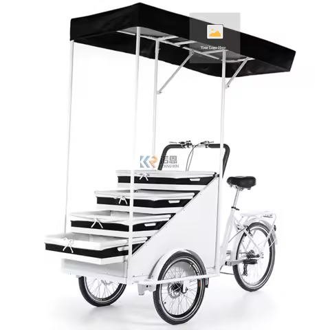 OEM Mobile Food Vending Cart 3 Wheel Coffee Fruit Bike CE Approved Electric Tricycle for Sale Beer S