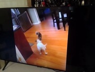 49吋智能電視Sony屏幕大上網速度快睇youtube睇片下載通通可以smart TV