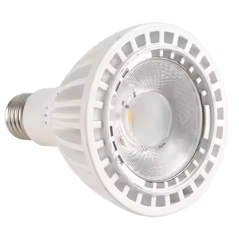 【PARTY DAY】PAR30 LED Spotlight Bulb 30W Warm White For Downlight