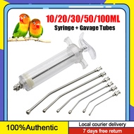 10ml/20ml/50ml Bird feeding syringe with Curved gavage tubes Fiber glass syringe feeder for handfeeding lovebirds parrot