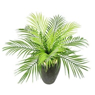 Beautiful decorative 9-leaf coconut leaf cluster - Home Decoration - Wedding event decoration
