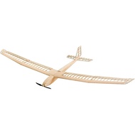 Balsa Wood Glider Plane F25 AION-25 Sailplane Kit Unassembled 2500MM (98") Wingspan Large RC Glider 