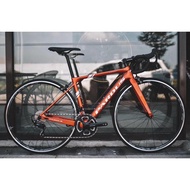 Pardus Carbon Road Bike - Robin Sport / Ready Stock / Basikal Racing