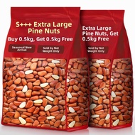 「NomNomBox」 Large Brazil Pine Nuts Hand-peel