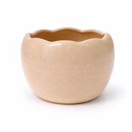 Mini Lotus Vase 8cm – Desk Decoration, Meditation Corner, Gentle Meaningful Gift