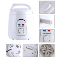 {UU61} QBHH-【Free Gift】1.5-1.8L 110V/220V Home Portable Steam Generator Saunas Steamer Pot 220V (EU 