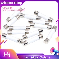 Ceramic Fuse 250V 5x20 20A Fuse of Fuse Tube