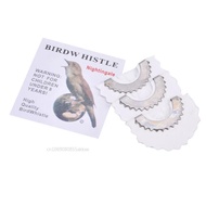 Wisel Burung Bernilai Terbaik Magic Fun Pemanggil Burung Lidah Wisel Warbler Magic Tweeting Pembuat 