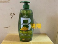 2621.【陽陽小舖】股東會紀念品 劍湖山 566 營養對策 果萃維生素B 水潤修護 洗髮露 700g 洗髮精