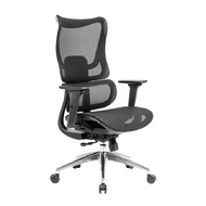 เก้าอี้เพื่อสุขภาพ เฟอร์ราเดค Tyla