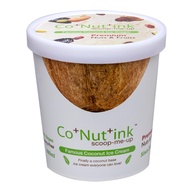 Co Nut Ink Coconut Ice Cream Premium Nuts &amp; Fruits