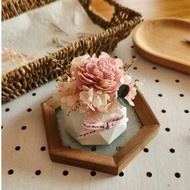 節氣擴香盆栽DIY材料包 共8款 24節氣命名 索拉花 擴香 親子手作