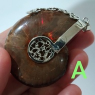 Full-Body Ammonite pendant Shell Million-Year-Old Clam Can Be Carried With You. Increase Power