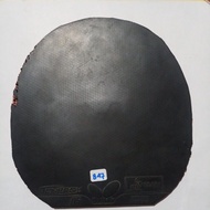 847. Butterfly Tenergy 05 Japan market