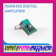 DW1 PAM8403 Mini 5V Dital Amplifier Board Stereo 2 Channel 3W Potensio